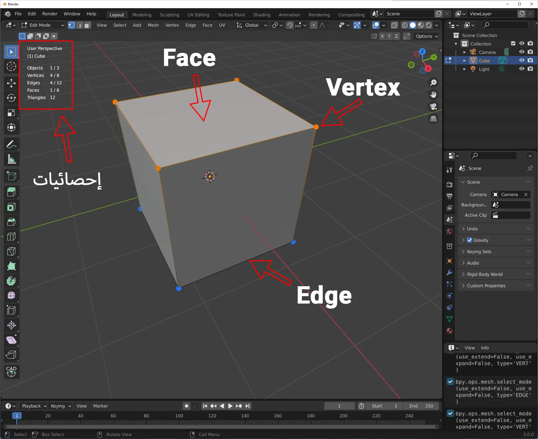 Blender Mesh info